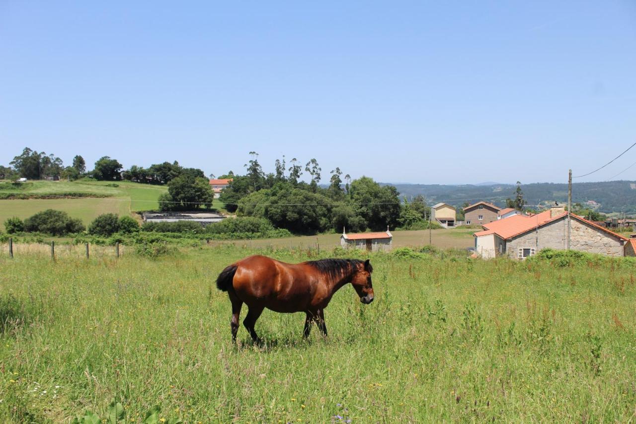 Albergue Rectoral San Mamede Da Pena Exclusive For Pilgrims Negreira Εξωτερικό φωτογραφία